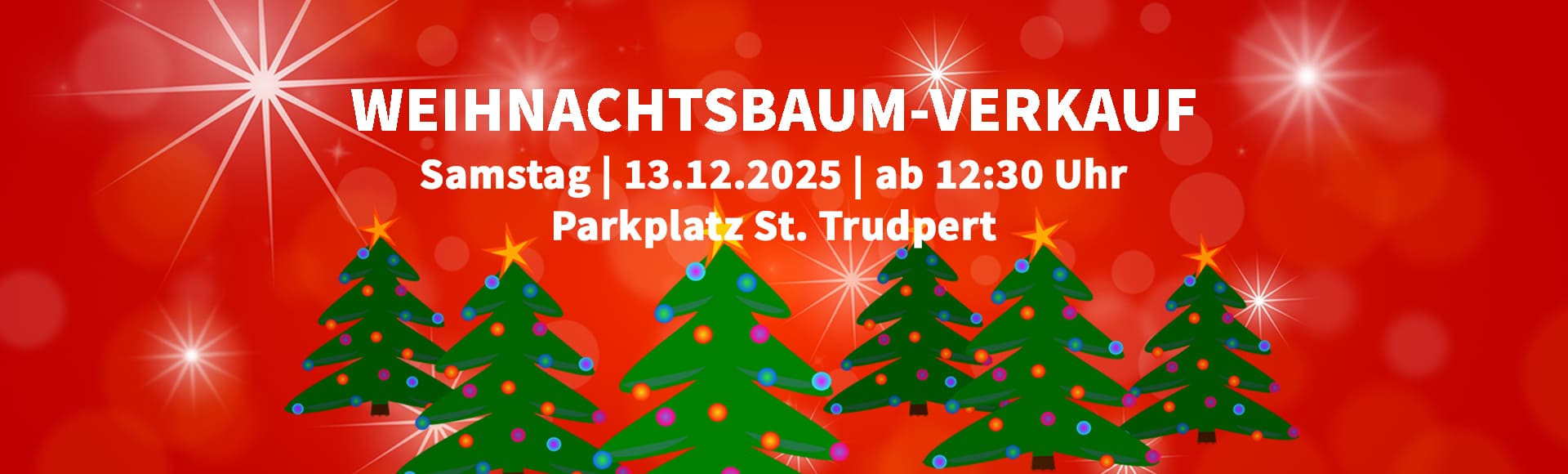 Weihnachsbaumverkauf 2025